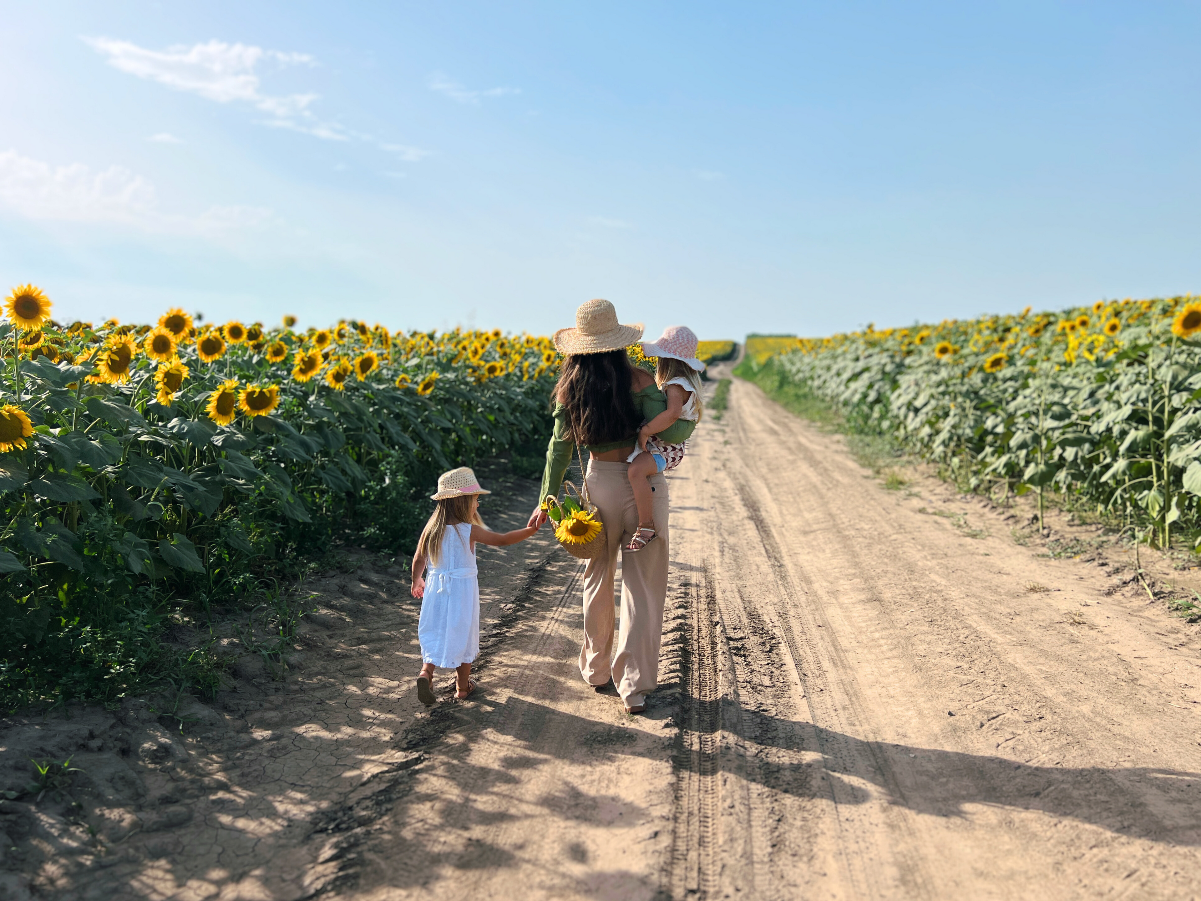 Mother with two daughters enjoying a peaceful walk through a vibrant sunflower field, using a Nest for Rest Adventure Arrow toddler carrier.