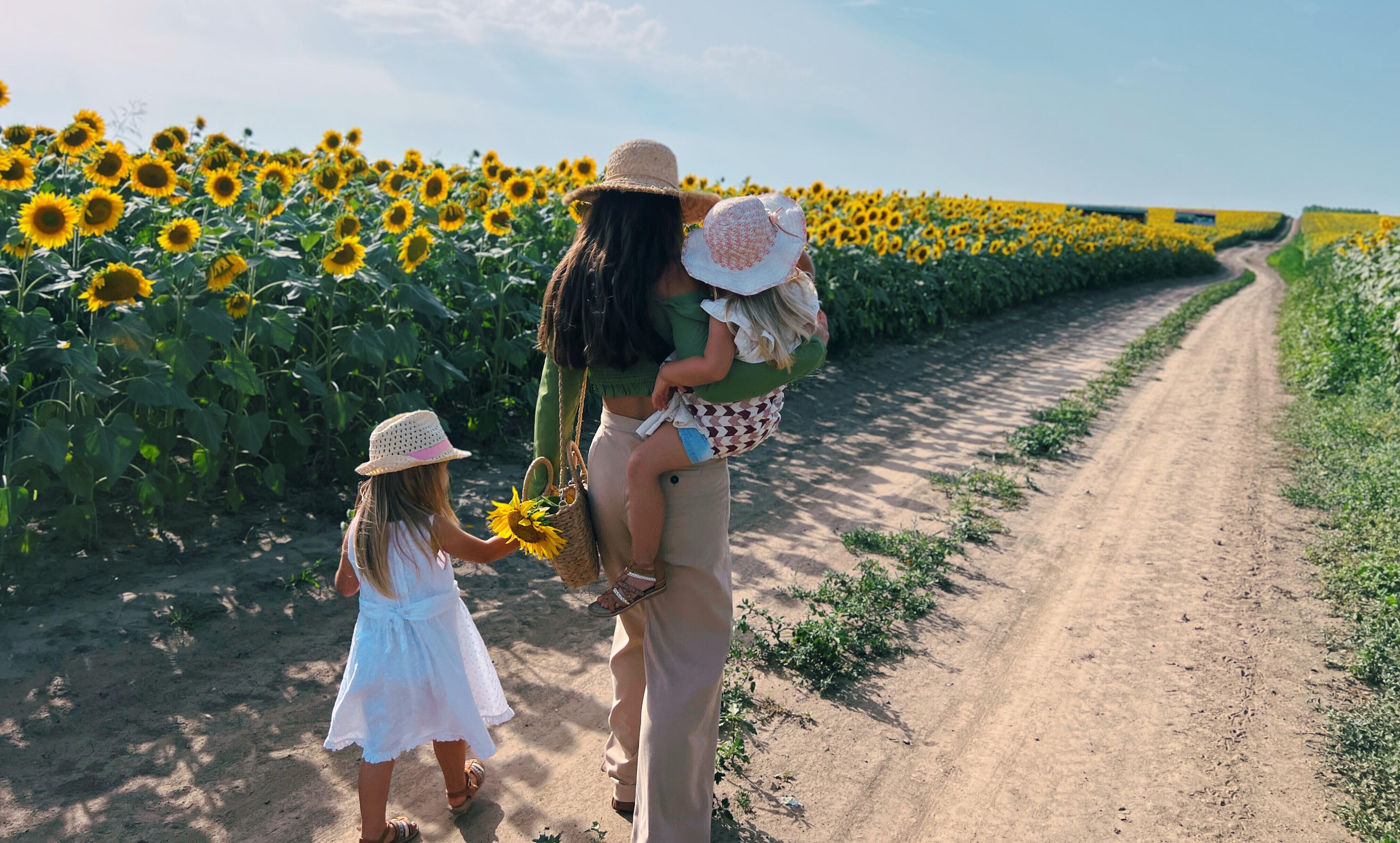 Mother with two daughters enjoying a peaceful walk through a vibrant sunflower field, using a Nest for Rest Adventure Arrow toddler carrier.